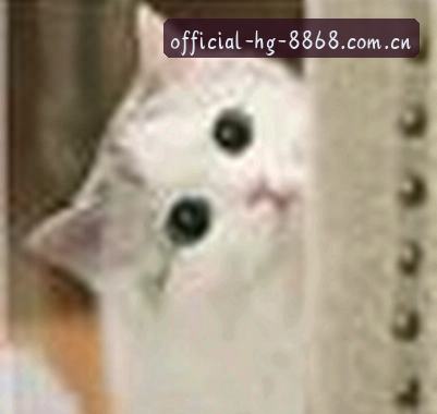 郑总