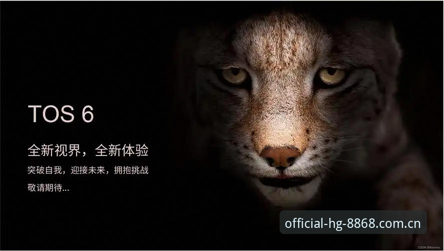 hg8868皇冠无缝体验手机版实用技巧：老用户教你玩转2026新版